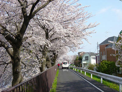 11-04-10b.jpg
