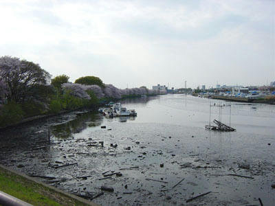 11-04-10c.jpg
