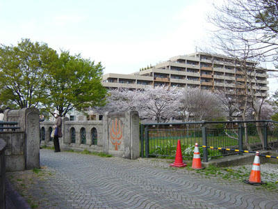 11-04-10e.jpg