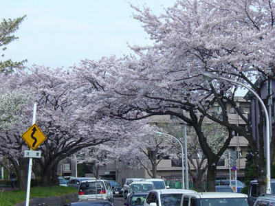 11-04-10i.jpg