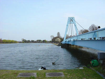 11-04-10k.jpg