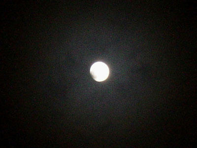 11-12-10b.jpg