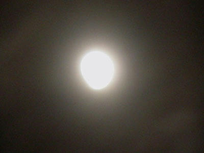 11-12-10c.jpg