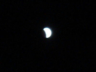 11-12-10d.jpg