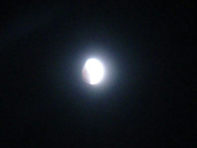 11-12-10e.jpg
