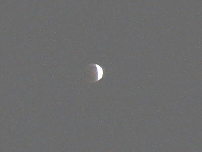 11-12-10f.jpg