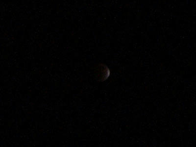 11-12-10h.jpg