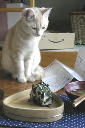 狙うりんご