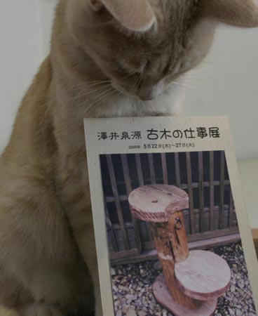 澤井泉源さん