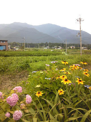藍