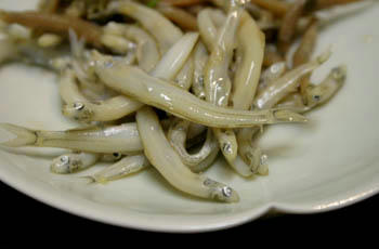 氷魚