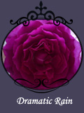 Dramatic Rain