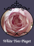 White Yves Piaget