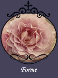 Forme