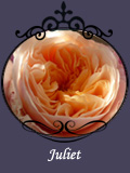 Juliet