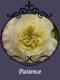 Patience