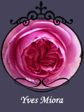 Yves Miora