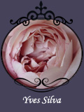 Yves Silva
