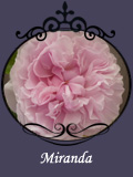 Miranda