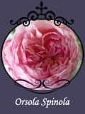 Orsola Spinola