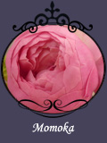 Momoka