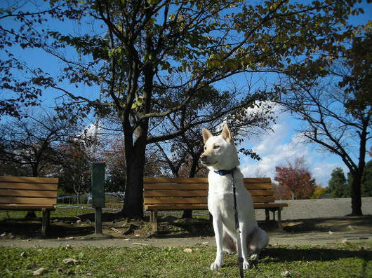 DSCN8800.JPG