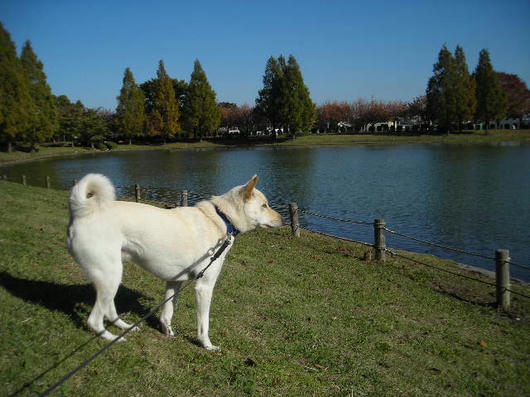 DSCN8792.JPG