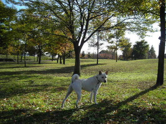 DSCN8826.JPG
