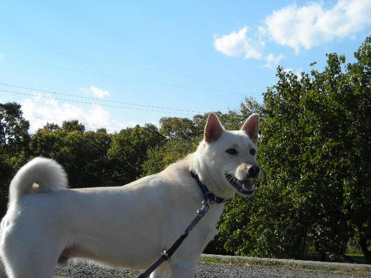 DSCN8833.JPG