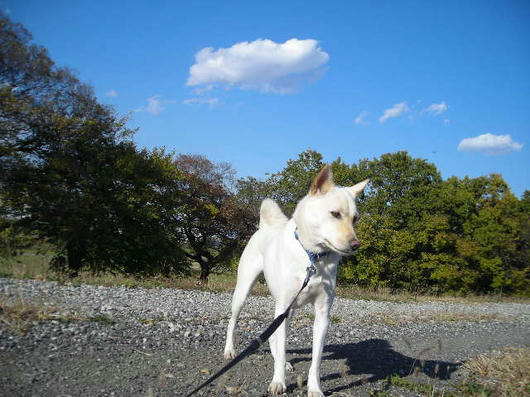 DSCN8850.JPG