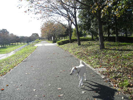 DSCN8812.JPG