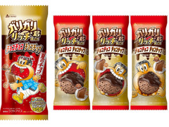 赤城 ガリガリ君リッチ チョコチョコチョコチップ