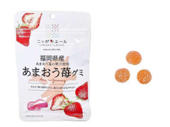 全農 ニッポンエール 福岡県産あまおう苺グミ