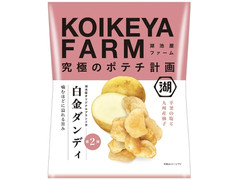 湖池屋 KOIKEYA FARM 白金ダンディ 平釜の塩と九州産柚子