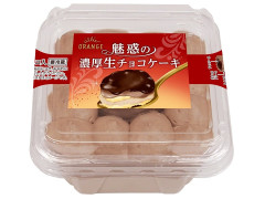 オランジェ 魅惑の濃厚生チョコケーキ
