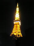DVC00187_M.JPG