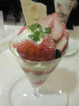 201003221158000.jpg