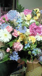 201003312110000.jpg