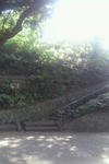 201006061.jpg