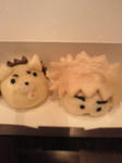 201011231359001.jpg