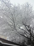 20101231.jpg