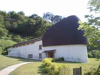 nemunoki01.jpg