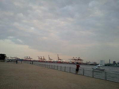 CA341707.jpg