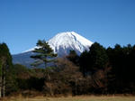 20081130.jpg