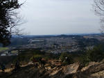 20090329.jpg