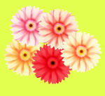 写真の様だけど写真ではない&hellip;クオリティには程遠い。