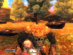 080512tatakau.jpg