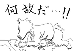 fimg_1265716045.png