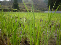 DSC00517.JPG