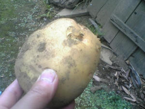 9a200860.jpeg